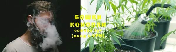 спайс Богородицк