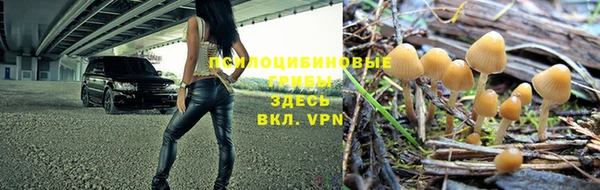 спайс Богородицк